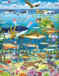 Marine Life in the North Atlantic