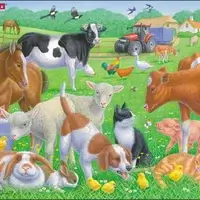 Pets and Farm Animals
