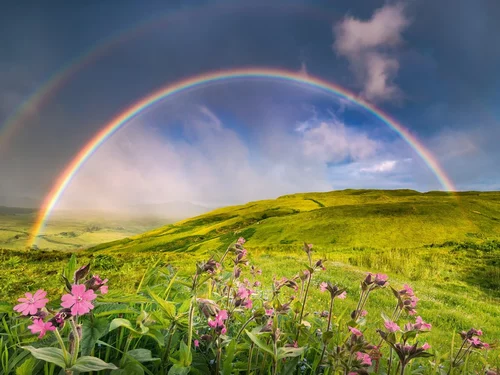 Rainbowscape (1500 bita) - Image 2