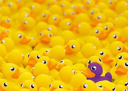 Rubber Ducks (1008 bita) - Image 2