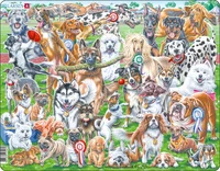 Cute and Playful Dogs (32 bita)