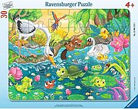 Summer at the Pond (30 bita)