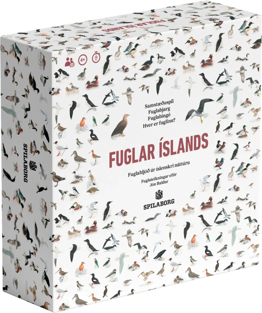 Spilavinir 5 Fuglar Íslands